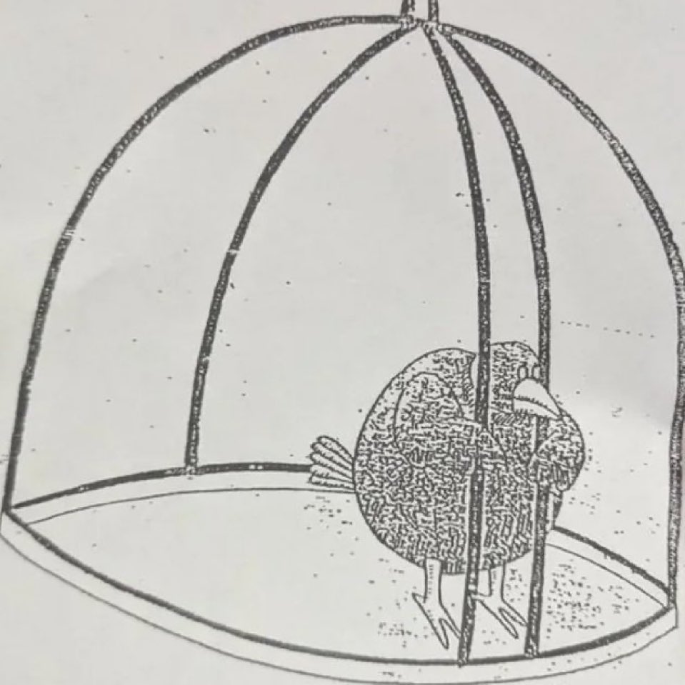 A drawing of a 
      bird that can escape its cage
